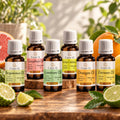 Casse-Q Citrus Set: 6 essential oils, 10 ml each – bergamot, grapefruit, lime, litsea cubeba, orange and lemon