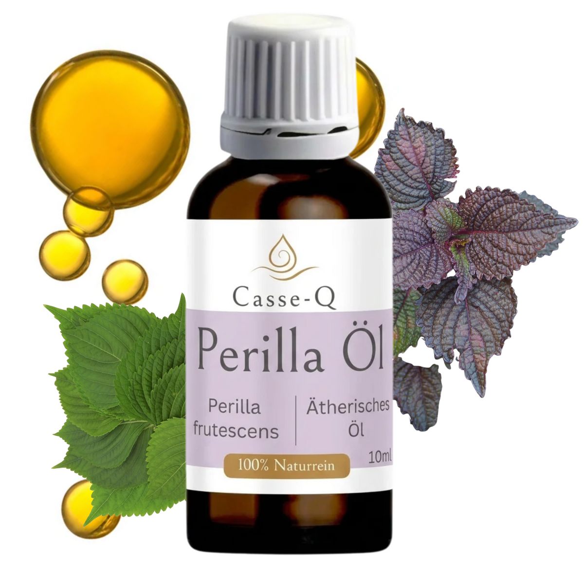 Ätherisches Perilla Öl von Casse-Q, 10 ml Braunglasflasche mit weißem Schraubverschluss, zwischen frischen Perillablättern