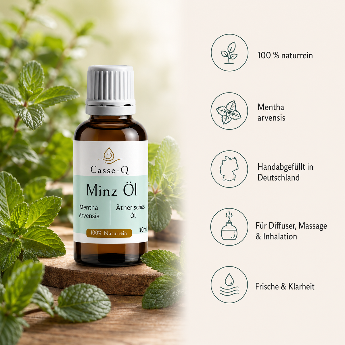 Minzöl von Casse-Q – Produktansicht 5