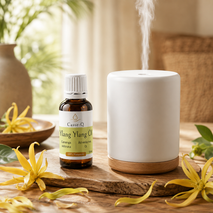 Ylang-Ylang-Öl von Casse-Q – Anwendung im Aroma-Diffuser